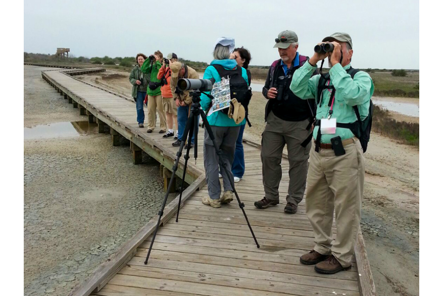 Birding Field Trip