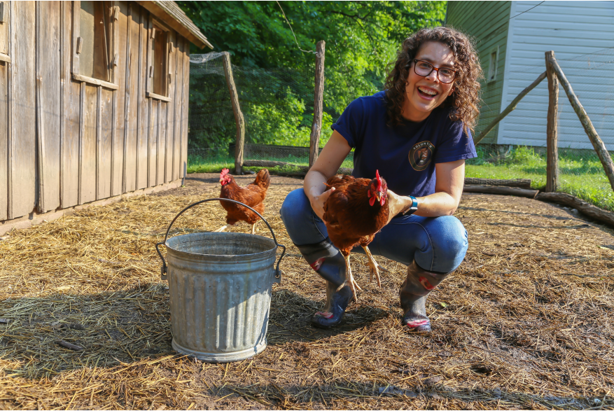 Woman kneeling down in a chicken coop, holding an orange chicken. A bucket sits next to her and another chicken is walking in the background.