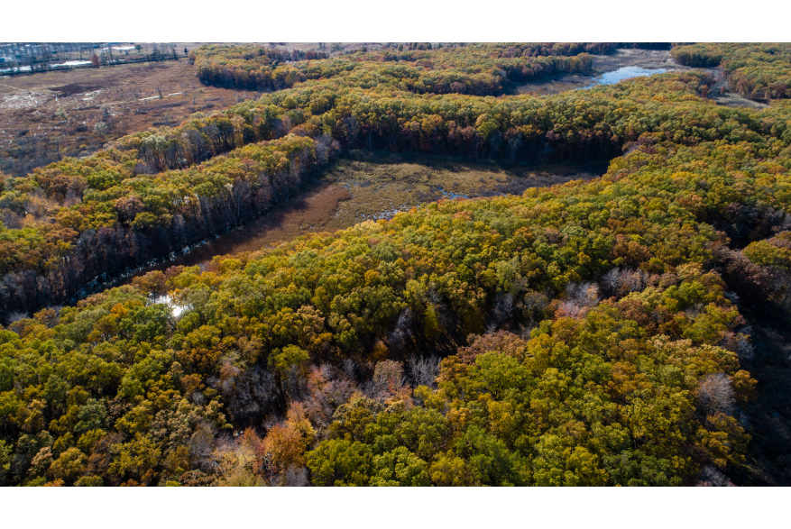 An aerial view of Cowles Bog