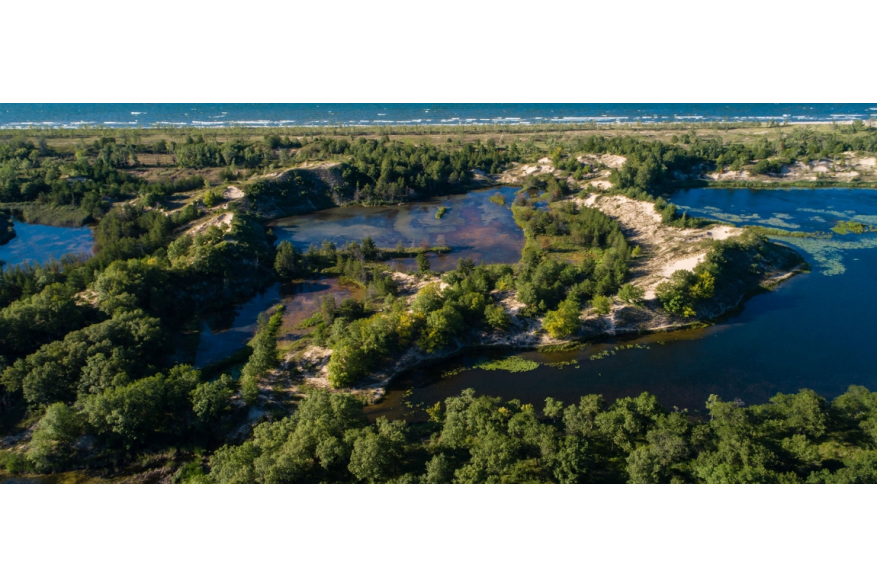 Aerial view of Miller Woods