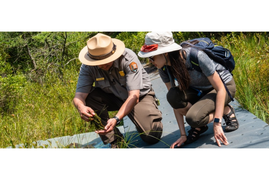 Ranger and volunteer examining flora