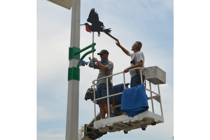 Photo of public artwork, Magnificent Fragate wind vane