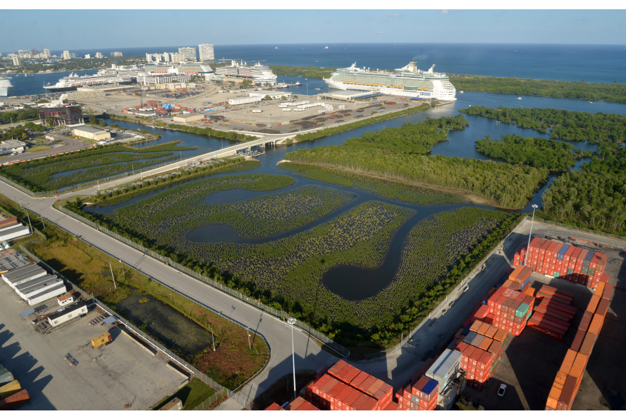 Aerial image of the mangrove enhancement area looking east with cruise ships in the background