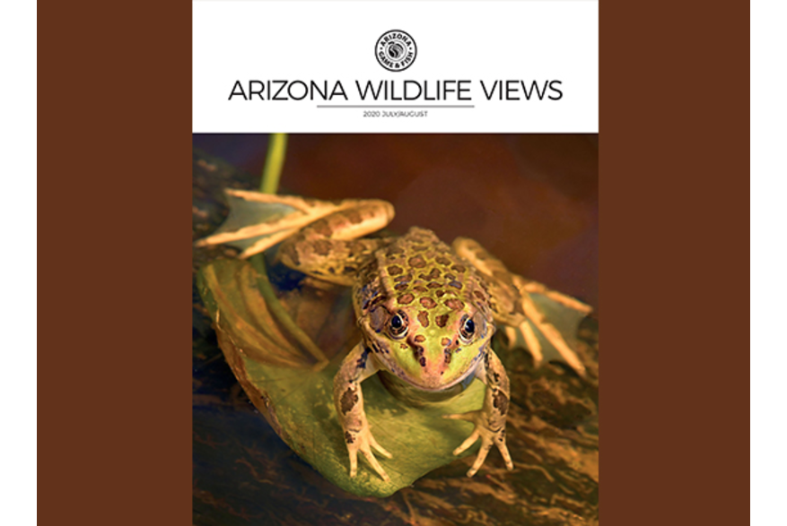 Arizona Wildlife Views - AZ Game & Fish