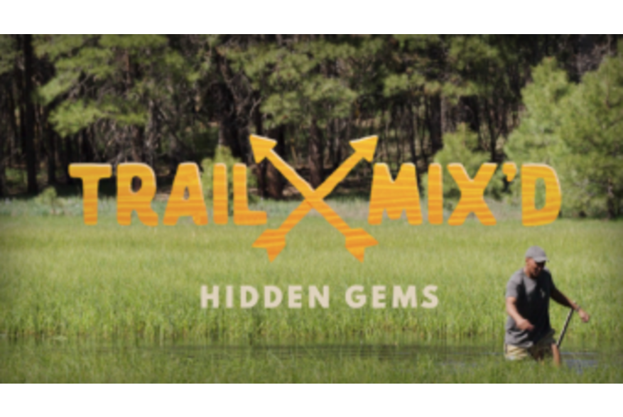 Trail Mix'd
