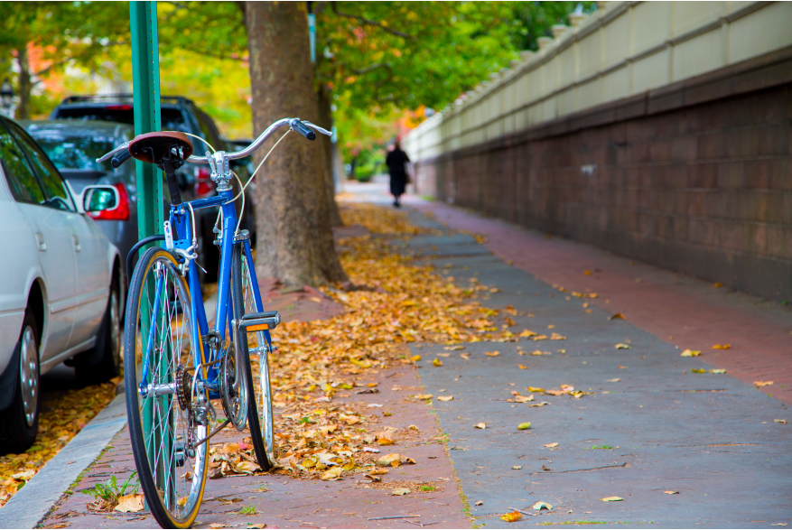 Fall Scene