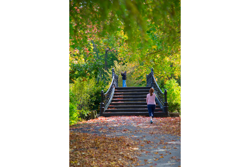 Roger Williams Park Bridge