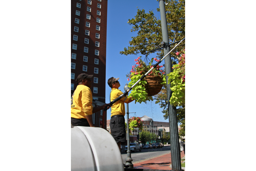 Crew Planting Flowers in Downtown Providence, RI