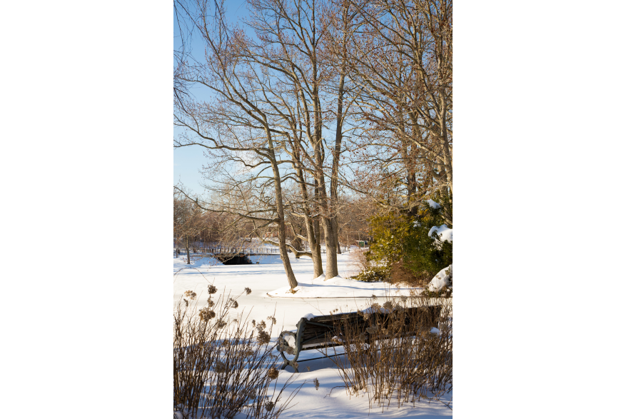 Roger Williams Park Snow