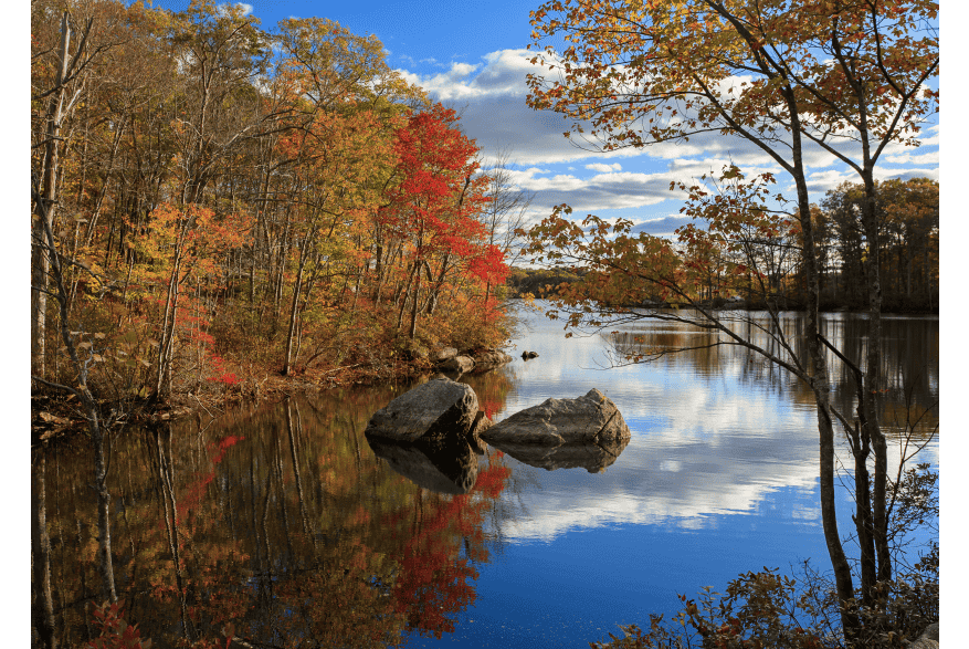 Fall Foliage, Lincoln Woods