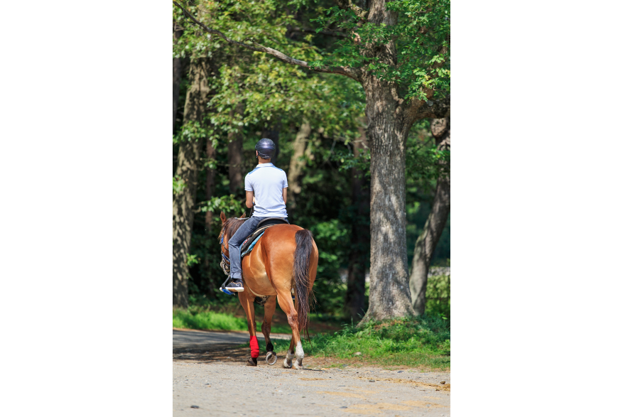 Goddard Park -Warwick