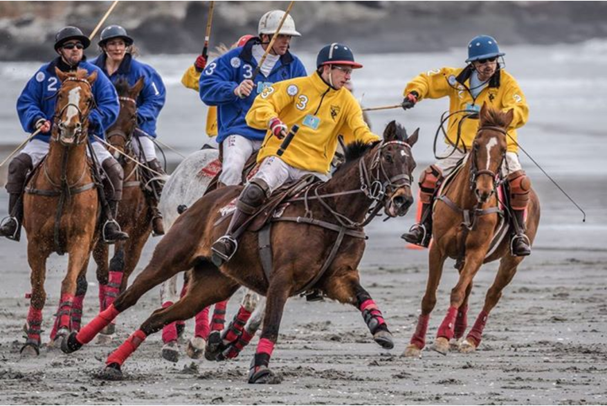 Newport Polo