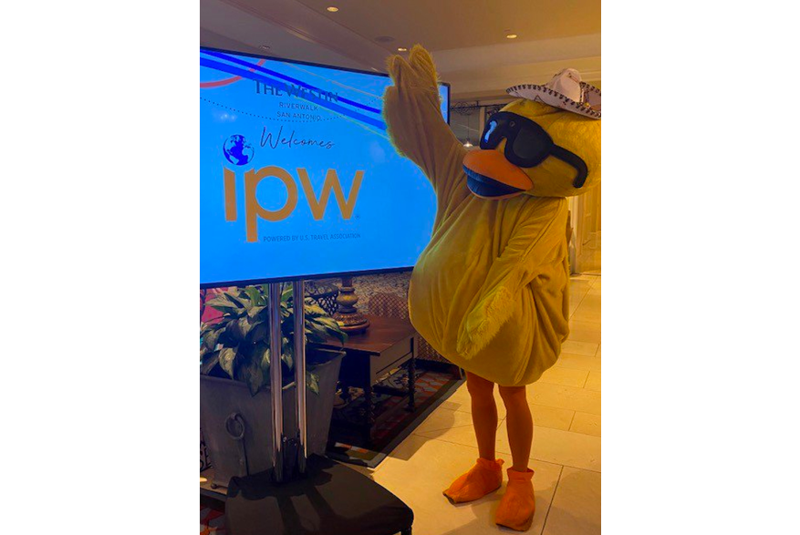 IPW Duck 2