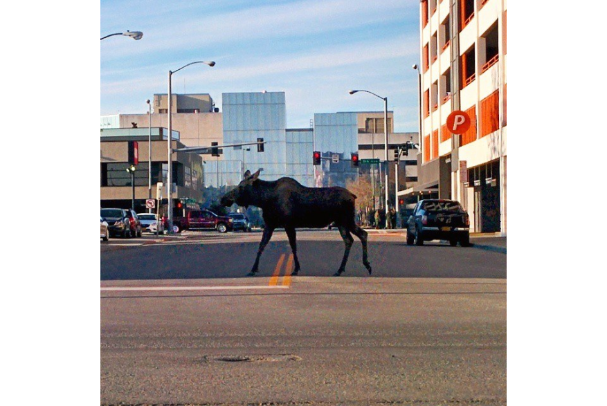 Visit Anchorage Destination Immersion 9