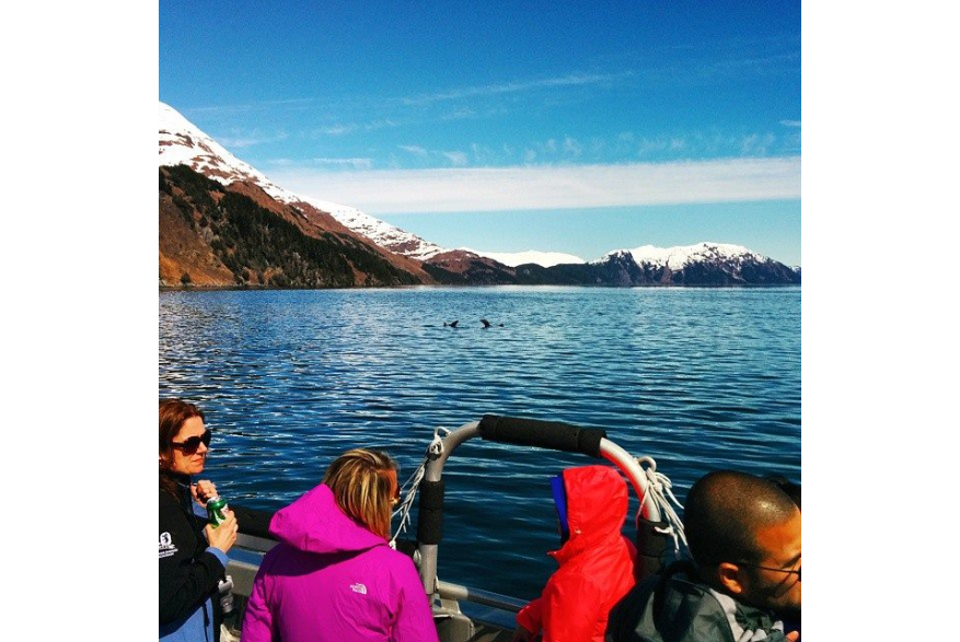 Visit Anchorage Destination Immersion 11