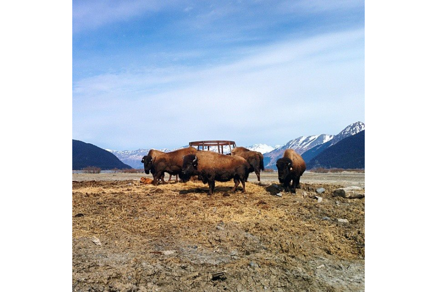 Visit Anchorage Destination Immersion 3