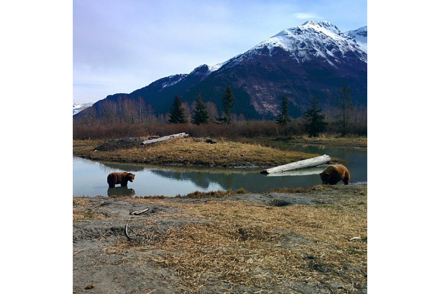 Visit Anchorage Destination Immersion 4