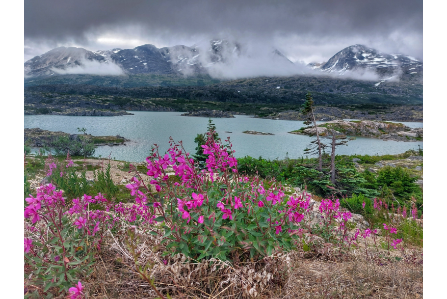 White Pass