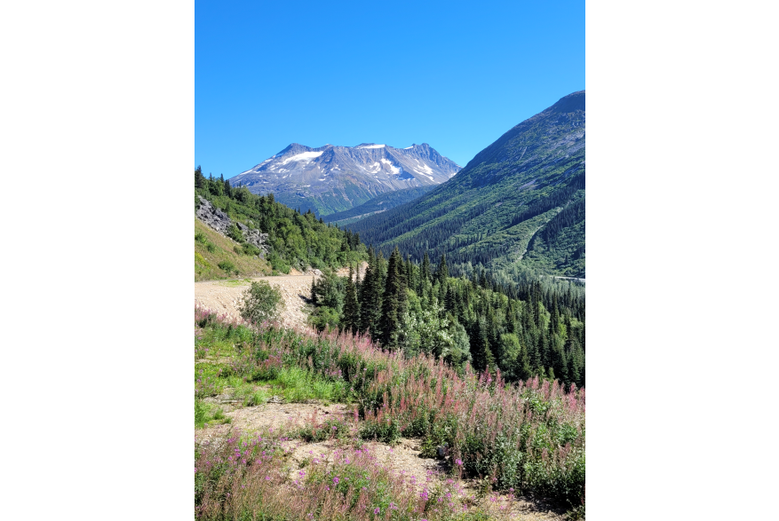 Gorgeous mountains and scenery on Yukon train ride.
