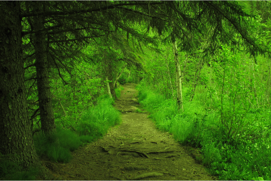 Upper Dewey Lake trail This image was taken in 2013 while I was working on a cruise ship as Photographer.