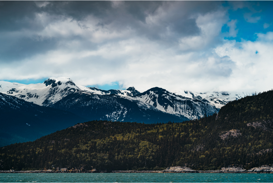 tree covered mountains rise out of the green sea with dark blue snowcapped covered mountains in the distance under partly cloudy blue skies