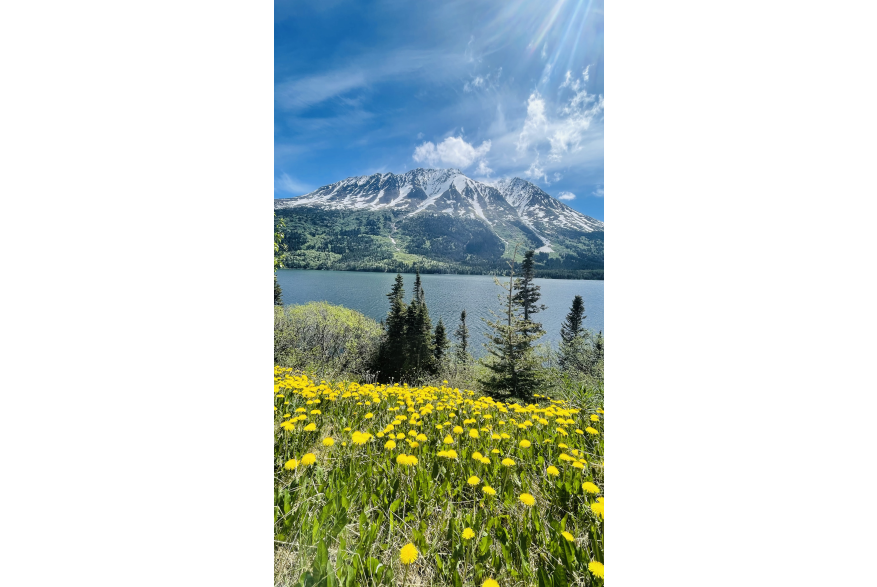 Tutshi Lake