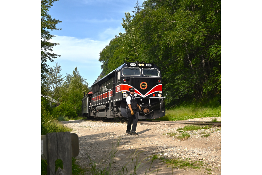 Black and red locomotive in green forest with train conductor in while shirt and black vest near the tracks up ahead