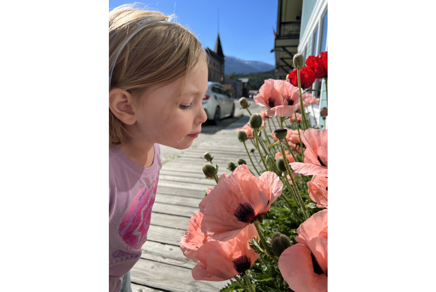 Flowers outside of Brew Co