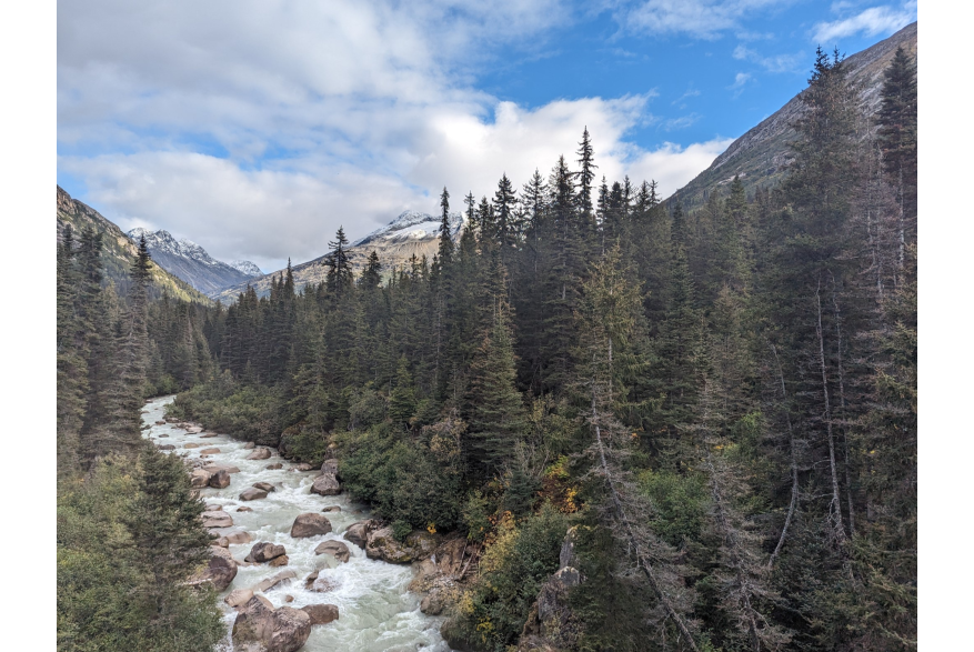 Skagway River and Mountains, taken from White Pass & Yukon Railway train
