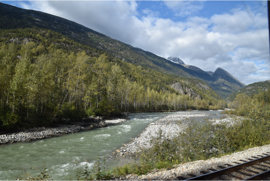 Train tracks along the Skagway River, taken from White Pass & Yukon Railway train