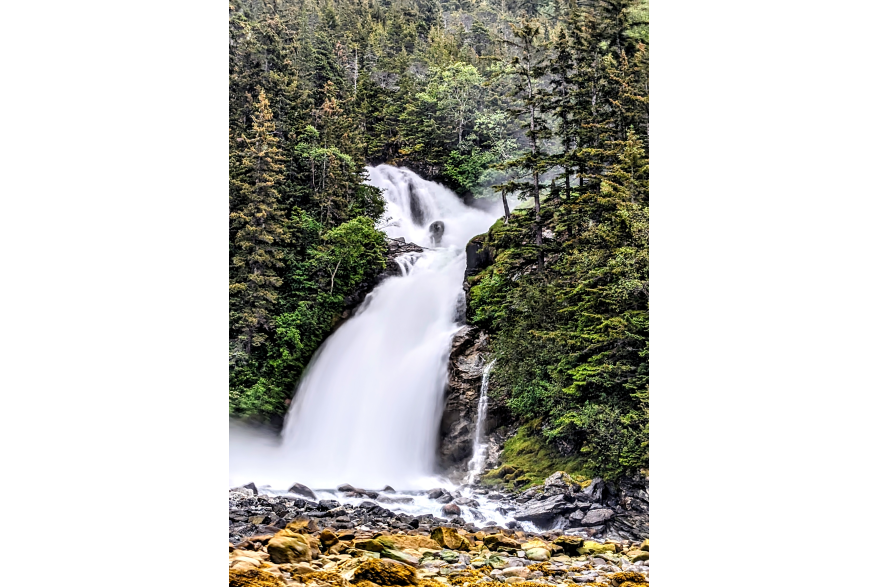 frothy white waterfall cascades through evergreen trees, over grey and gold seaweed covered rocks as mist rises all around