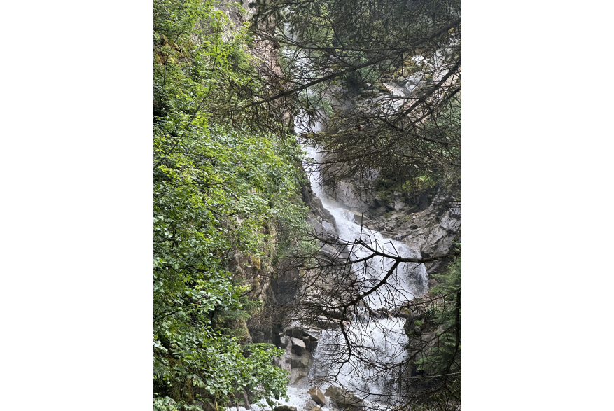 White turbulent falls crash down a steep ravine through jagged rocks misting the bright green trees on the left with dry pine branches sprawled in from of the camera lens as if it were trying to hide the falls from plain sight