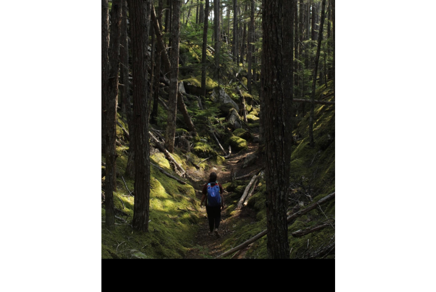 I took this photo when taking the hike to Sturgills, I was up on the hill looking down and not only did I love the green colors with the sunlight I loved how small it made my subject look.