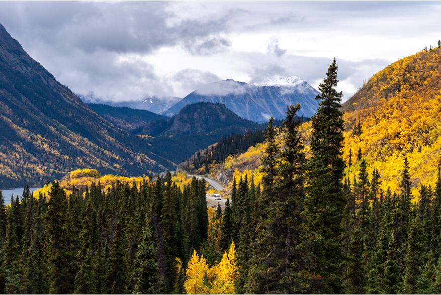 Skagway Tour into the golden colours of the South Klondike Highway.