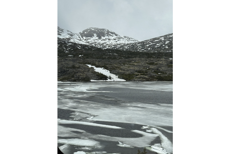 White Pass Summit