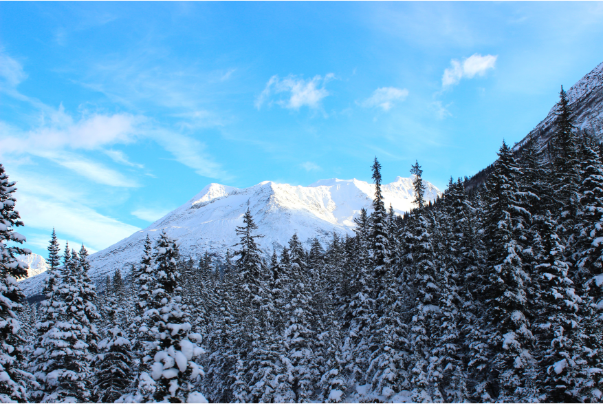 White Pass & Yukon Route 3
