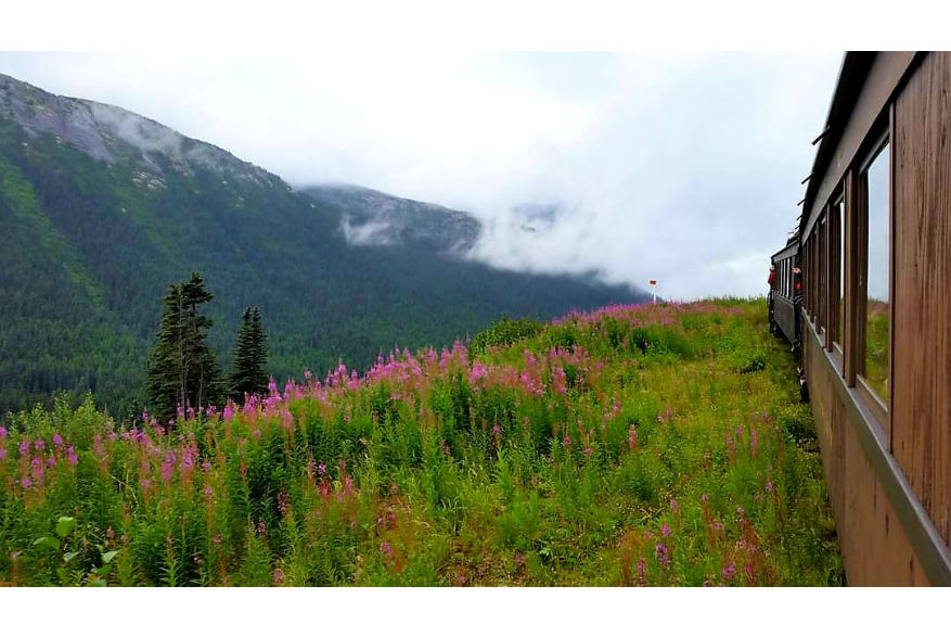 Just about to the end of the line, right into the cloud base with all the beautiful firewood alongside. Photo from the car platform.