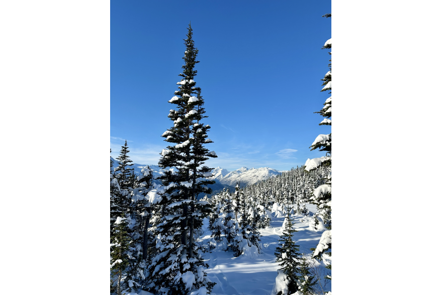 UPPER DEWY LOOKING OUT AT OCTOBER SNOWFALL
