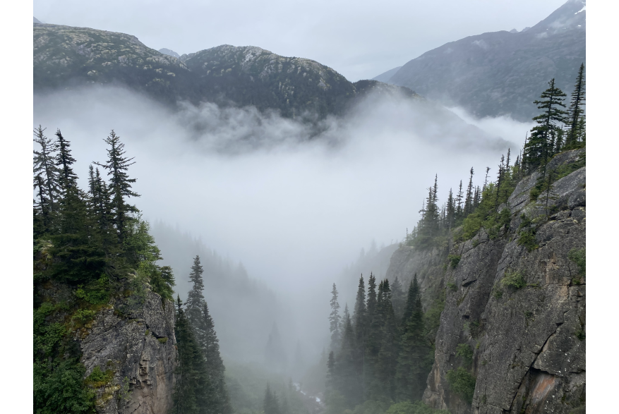 Foggy from White Pass Train