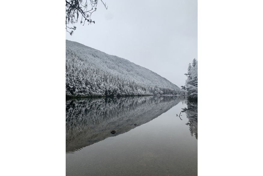 Trail to lower Dewey during the snow of October 17th