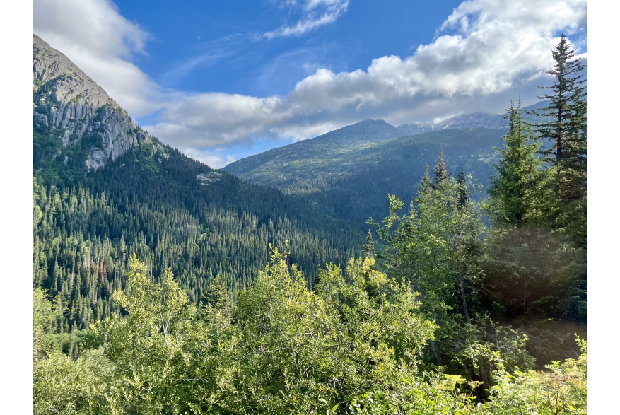 Along the White Pass & Yukon Trail