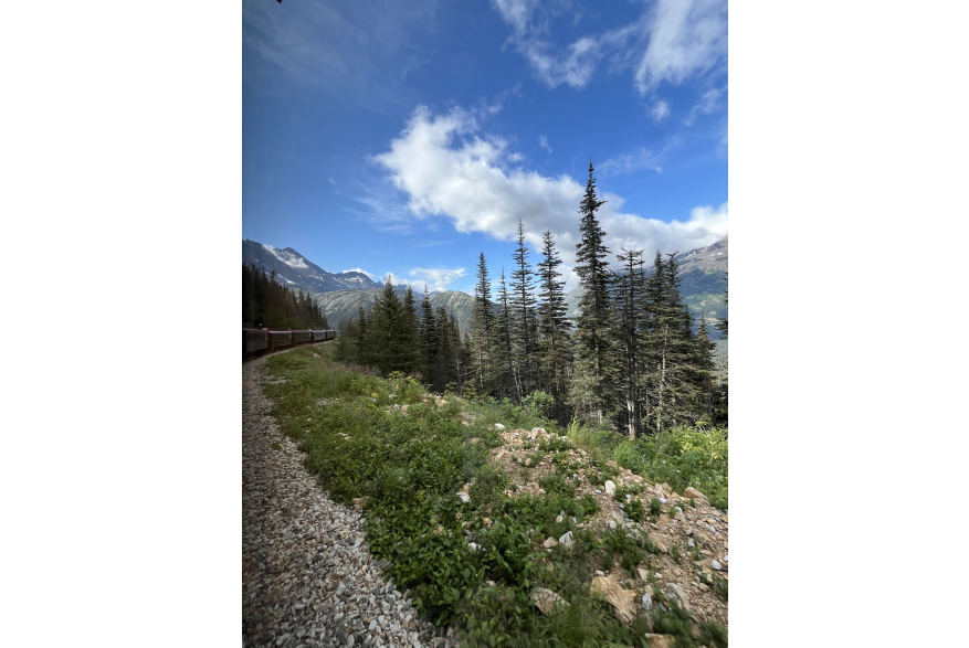 White Pass Curve