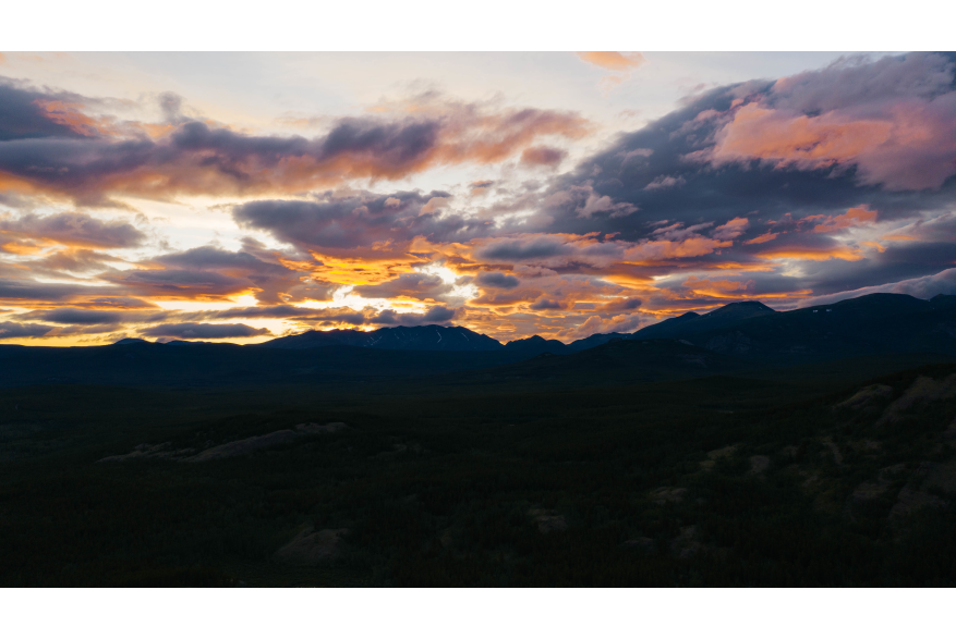 Midnight Sun