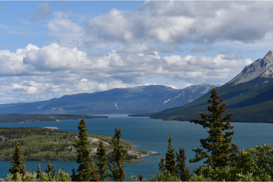 Klondike Highway Scenery