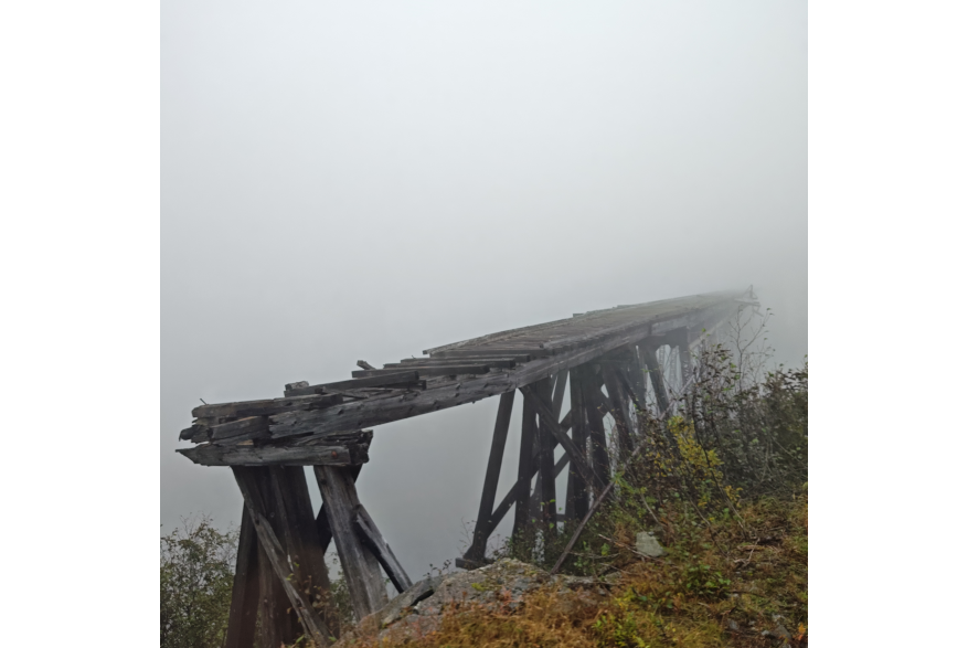 Taken on the White pass train on 9.18.2024