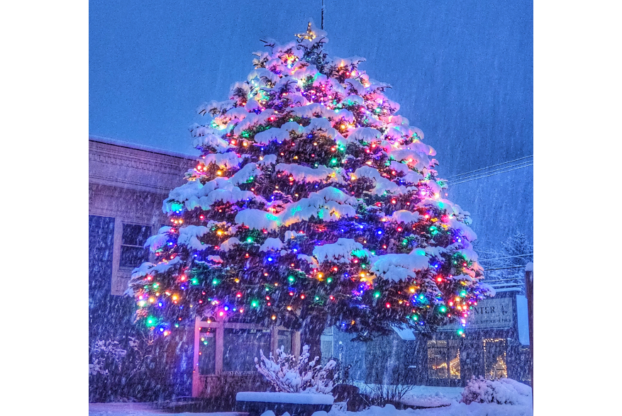Town Christmas tree