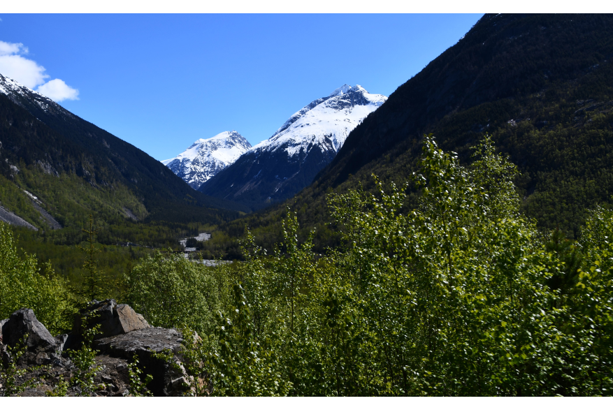 The rugged beauty of Alaska as seen from the White Pass & Yukon Route