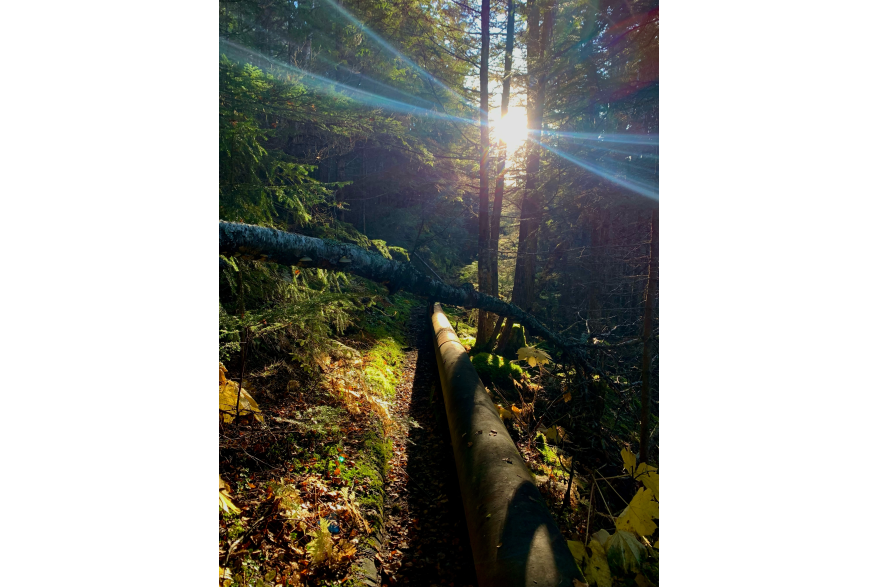 LOWER REID FALLS TRAIL HIKING ALONG THE PIPELINE SUN PEEK-A-BOO