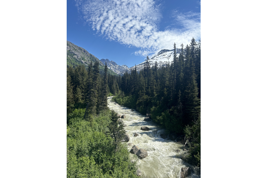 Train ride Yukon Route- White Pass