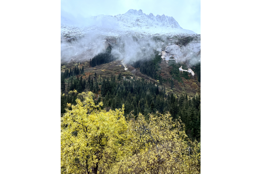 Autumn glory along White Pass railroad
